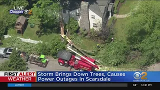 Storm takes down trees in Scarsdale