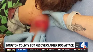 Houston County boy recovers after dog attack