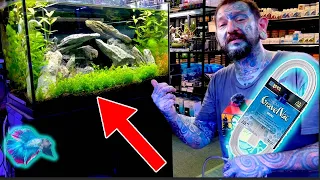 HOW TO USE A GRAVEL VACCUM FOR AQUARIUM / HOW TO CLEAN A FISH TANK