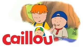 Caillou - Caillou's Picnic  (S01E65) | Cartoon for Kids