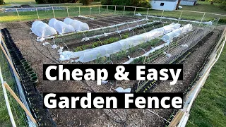 Cheap and Easy Garden Fence (Keeps Everything Out!)