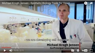 Michael Krogh Jensen - Synthetic Biology Tools for Yeast