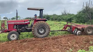 A chuva foi passageira quando o MF275 tava cortando terra,mesmo assim o trator patinou