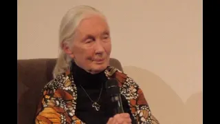 Jane Goodall In Conversation - Live Stream | VIFF 2018