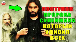 УДИВИТЕЛЬНЫЙ ПОСТУПОК ПРОРОКА СУЛЕЙМАНА, (СОЛОМОНА) КОТОРЫЙ ГОВОРИЛ С ЖИВОТНЫМИ И ДЖИНАМИ