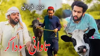 Tawani Sodagar New Eid Qurbani Video By Azi Ki Vines 2023