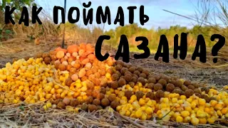 ЛОВЛЯ САЗАНА НА РЕКЕ. Яма 10 метров! Мой ловучий МОНТАЖ!