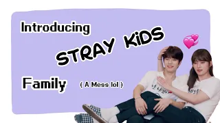 Introducing Stray Kids Family (A Mess Lol)