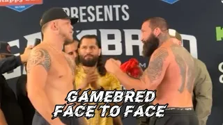Gamebred face to face #fenomenmma #mma #motivation #fighter #gamebred #ufc300