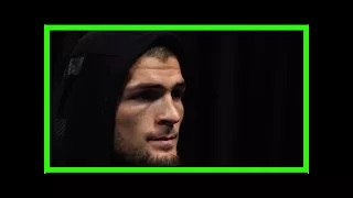 Khabib nurmagomedov's coach addresses tiramisu-gate ahead of ufc 219