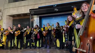 Tuna Femenina de Medicina de Granada (TFMG) - Ronda - VI Certamen Internacional Tunas La Línea 2024