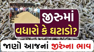 jeera na bhav | 08-05-2024 | આજના બજાર ભાવ | જીરું નો ભાવ | commodity trend #jeeranabhav