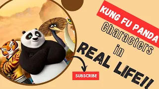 Kung Fu Panda characters in real life!