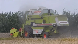 Żniwa 2018-Claas Dominator 86 Classic w akcji.