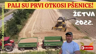 PALI SU PRVI OTKOSI PŠENICE ! ŽETVA 2022. ; THE FIRST MOWING OF WHEAT HAVE FALLEN! HARVEST 2022