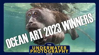 Winners of Ocean Art 2023