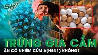 Ăn Trứng Gia Cầm Có Bị Nhiễm Cúm A(H5N1) Hay Không | SKĐS