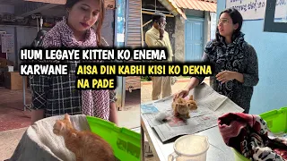 Kitten dealing with constipation gets an enema and Has a Huge poop  , so painful  😖