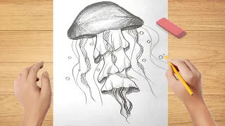 Drawing a Jellyfish for Beginners