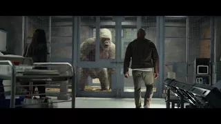 Rampage official trailer , the rock hollywood trailer