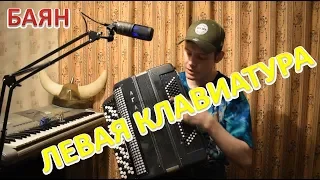 Как играть на левой клавиатуре баяне? Объяснение с нуля для музыкантов!