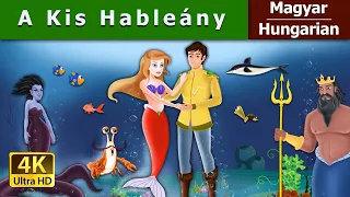 A Kis Hableány | Little Mermaid in Hungarian | Magyar Tündérmesék @HungarianFairyTales