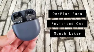 OnePlus Buds Revisited: One Month Later
