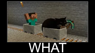 Maxwell the Cat in Minecraft wait what meme part 142