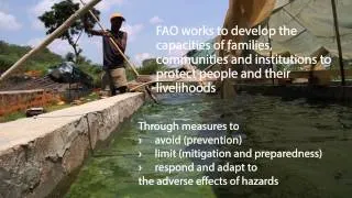 Increasing the resilience of family farmers to threats and crises