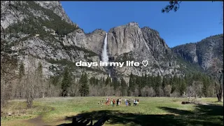 a wholesome girls trip to yosemite | days in my life ♡