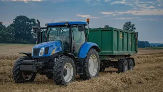 AGROVLOG #77//ODVOZ PŠENICE OD KOMBAJNU//NEW HOLLAND