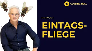 FED-Reaktion | Eine Eintagsfliege | DoorDash | Ebay | Zillow | Etsy alle nach Zahlen schwach.