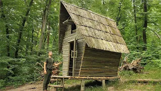 Bushcraft Cabin in the Forest, Fried Mushrooms, Primitive Technology, Life Off Grid
