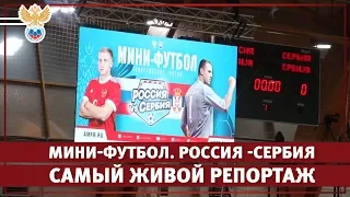 Мини-футбол. Россия - Сербия. Самый живой репортаж | РФС ТВ