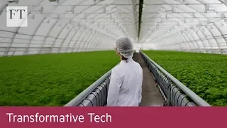 Can a superplant save the planet? | Transformative Tech