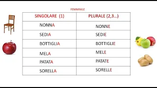 Italiano per stranieri.  Lezione 3 Nome Singolare Plurale