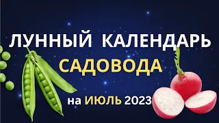 Что посадить в июле: лунный календарь огородника на июль 2023