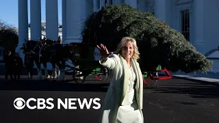 Christmas tree arrives at the White House | full video