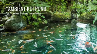 Koi Fish Pond  | Calm Flowing Water & Ambient Nature Sounds [Relax, Focus, Meditate, Sleep]