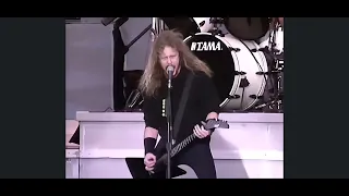 Metallica - Harvester Of Sorrow