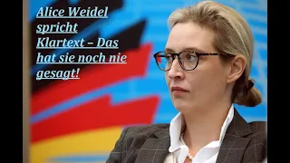 ⚠️ Alice Weidel enthüllt: Das wahre Problem der deutschen Politik – Die letzte Chance!