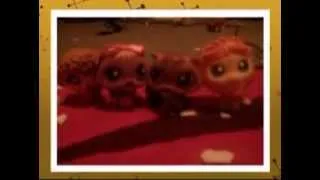 littlest pet shop wedding