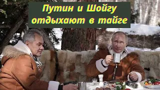 Путин и Шойгу отдыхают в тайге