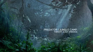 Predator | Jungle Camp | 90 Min of Rain Forest Ambience | Deep Sleep ASMR Soundscape
