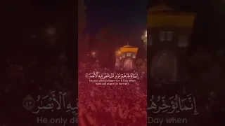 🤲🤲 اطمئن فالله لن يضيعك  | شريف مصطفى ولاتحسبن الله غافلا عما يعمل الظالمون