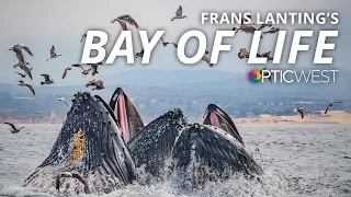 Frans Lanting: Bay of Life - From Wind to Whales | #BHOPTIC West