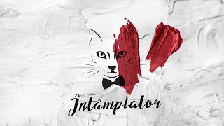The Motans - Intamplator | Official Audio