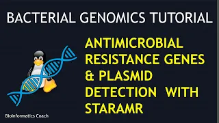 STARAMR Linux Install and Usage for Antimicrobial resistance genes and plasmid detection