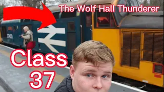 Chasing The Wolf Hall Thunderer Railtour- 37403 & 50008 - 11/2/23