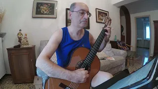 El condor pasa (Daniel Alomia Robles) Fingestyle solo guitar